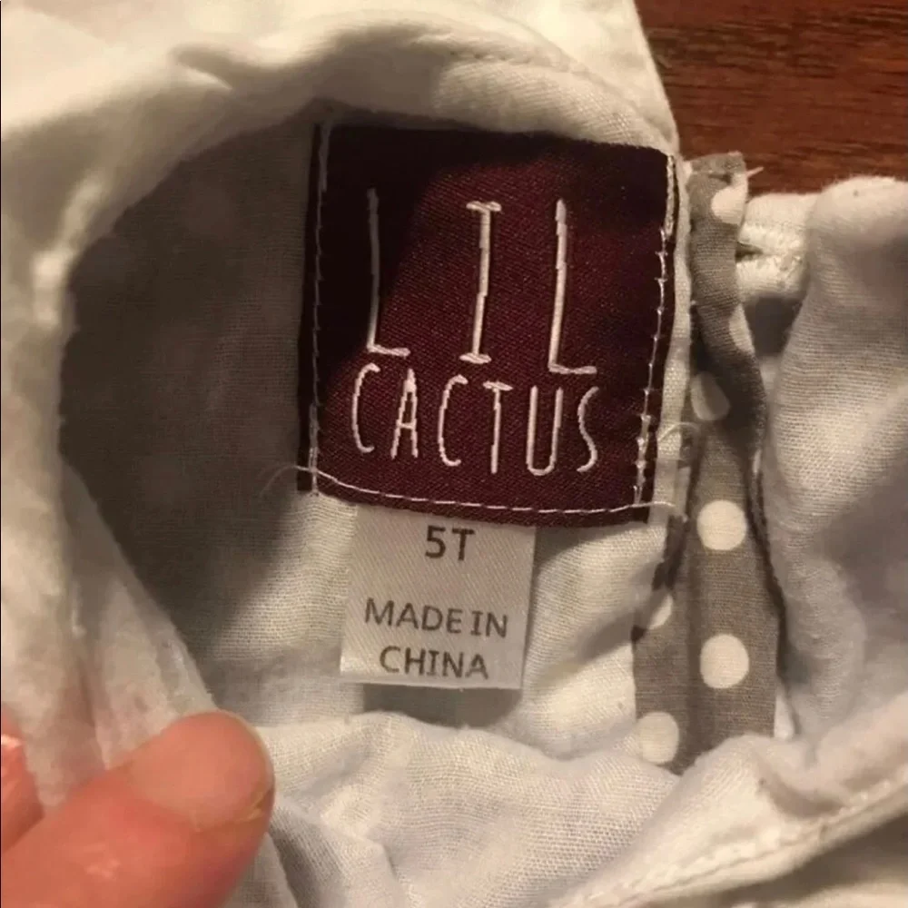 Lil Cactus Dress Size 5T